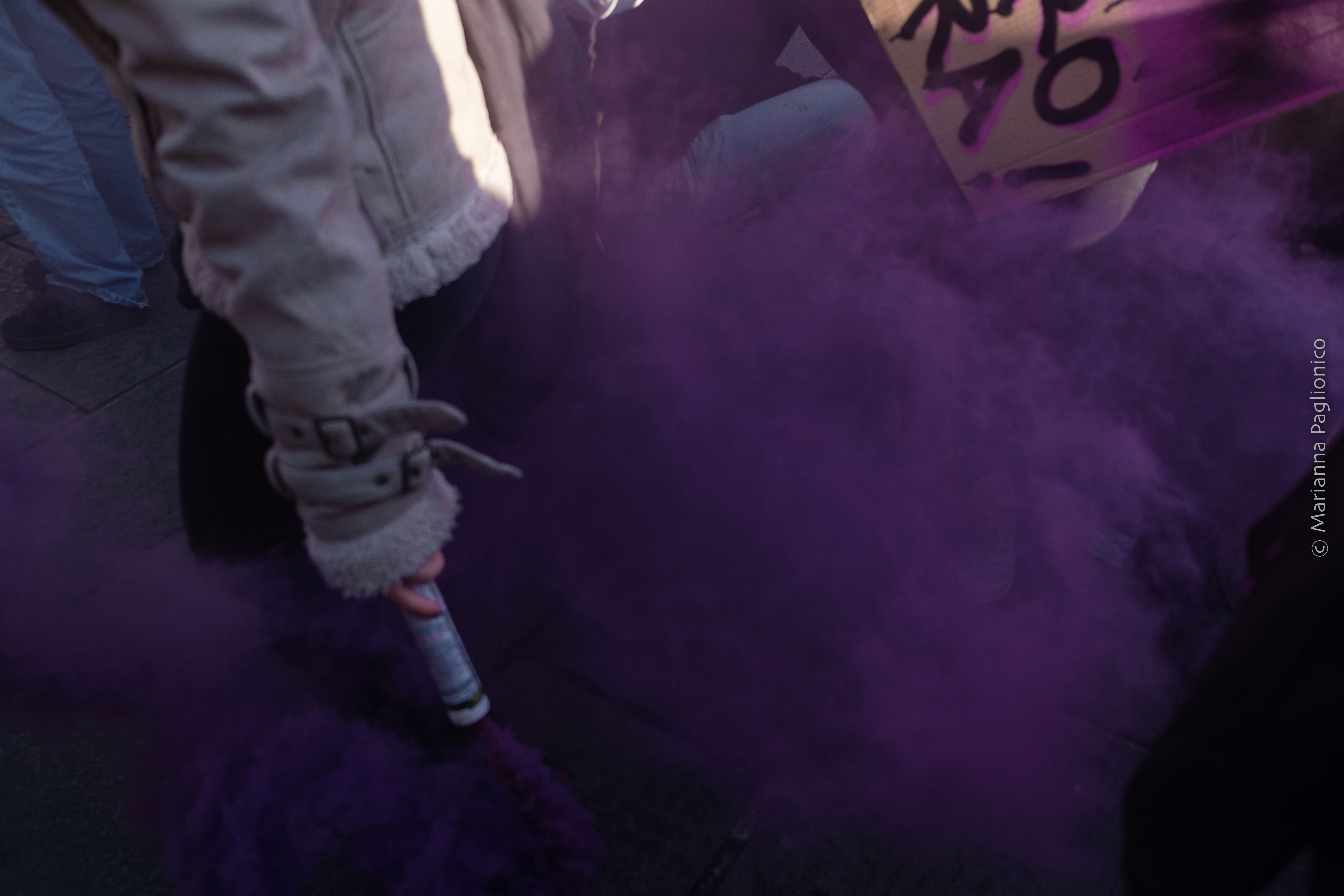 Manifestazione universitaria, fumogeni viola