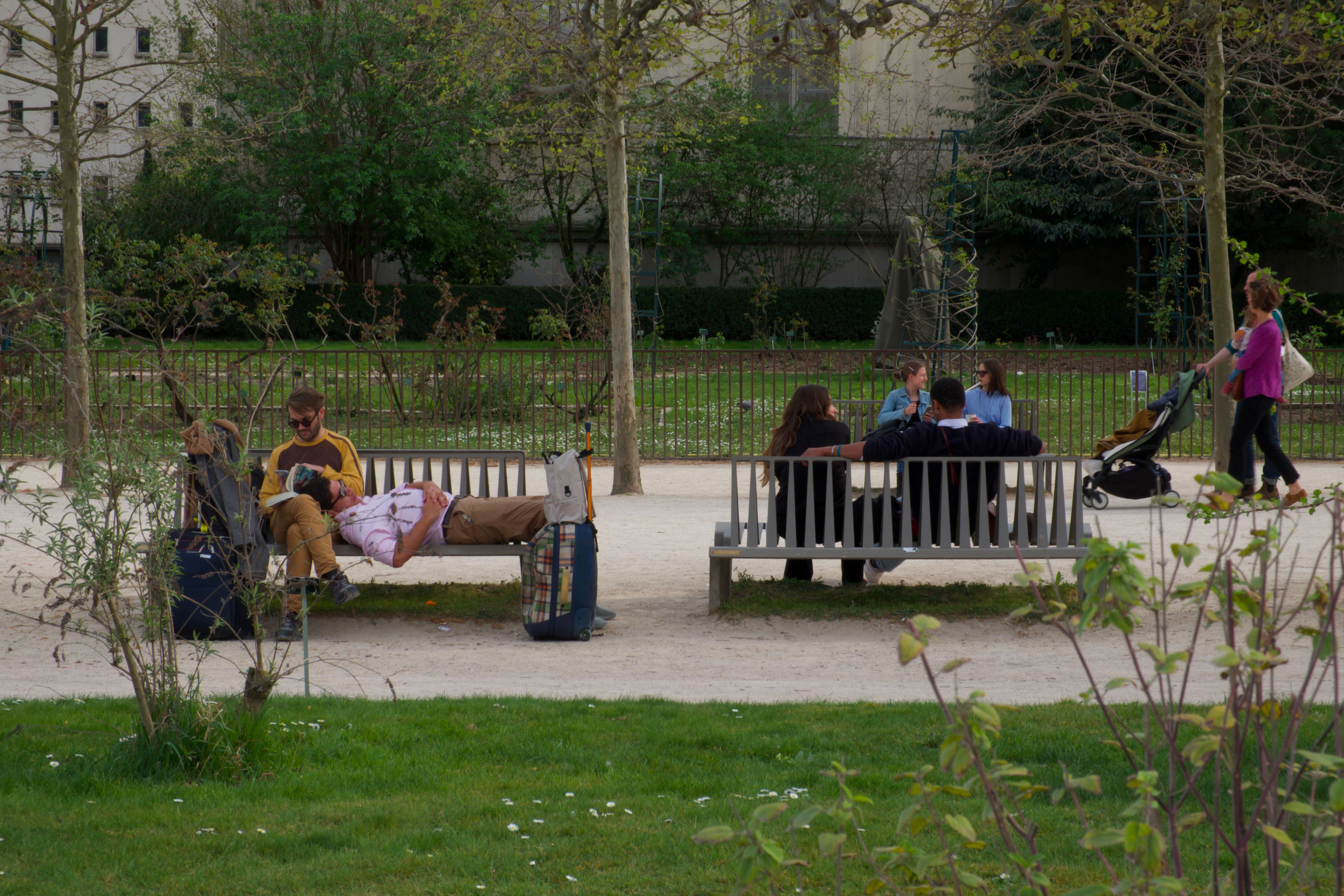 Jardin des Plantes, marzo 2022
