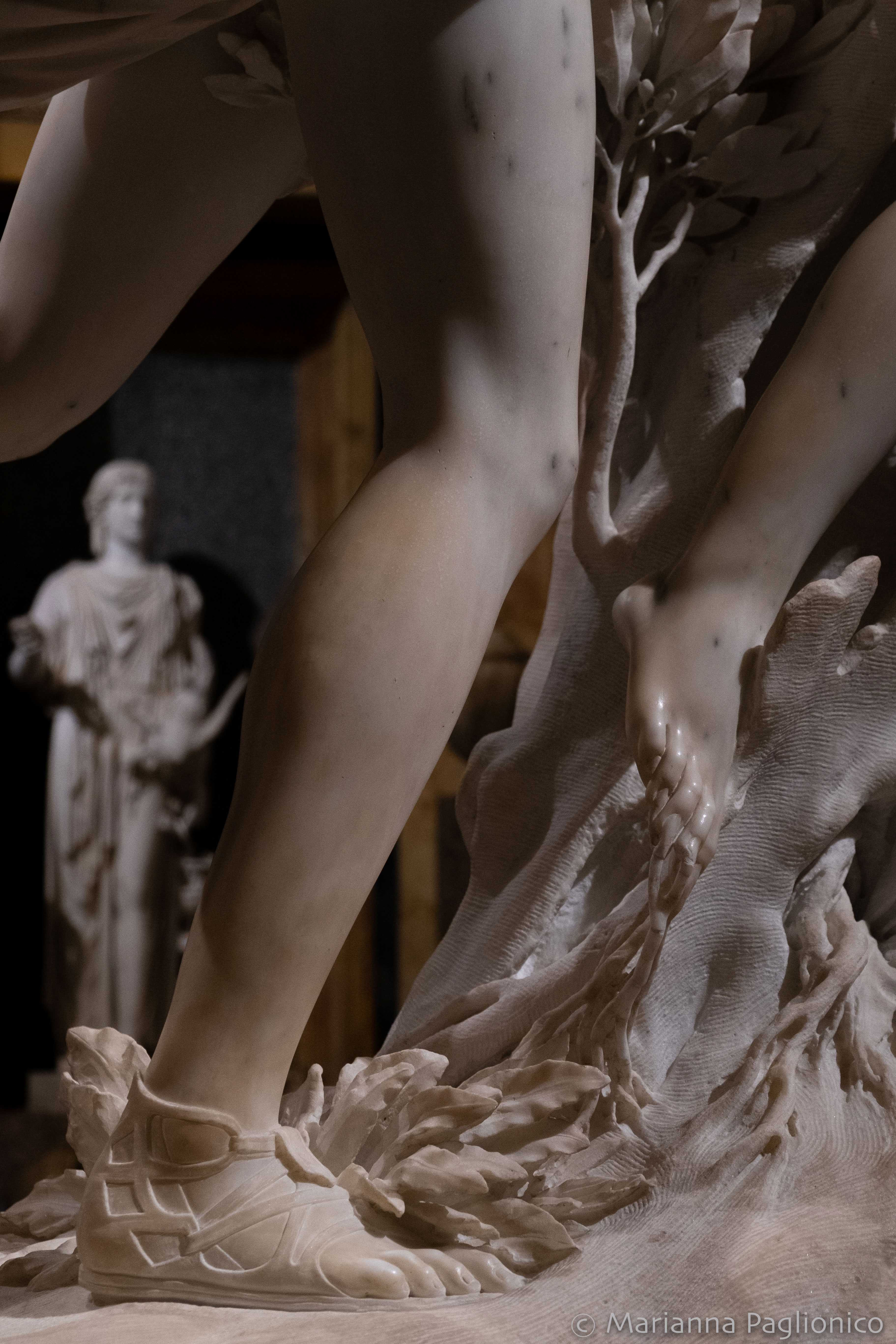 Particolare di Apollo e Dafne, Bernini