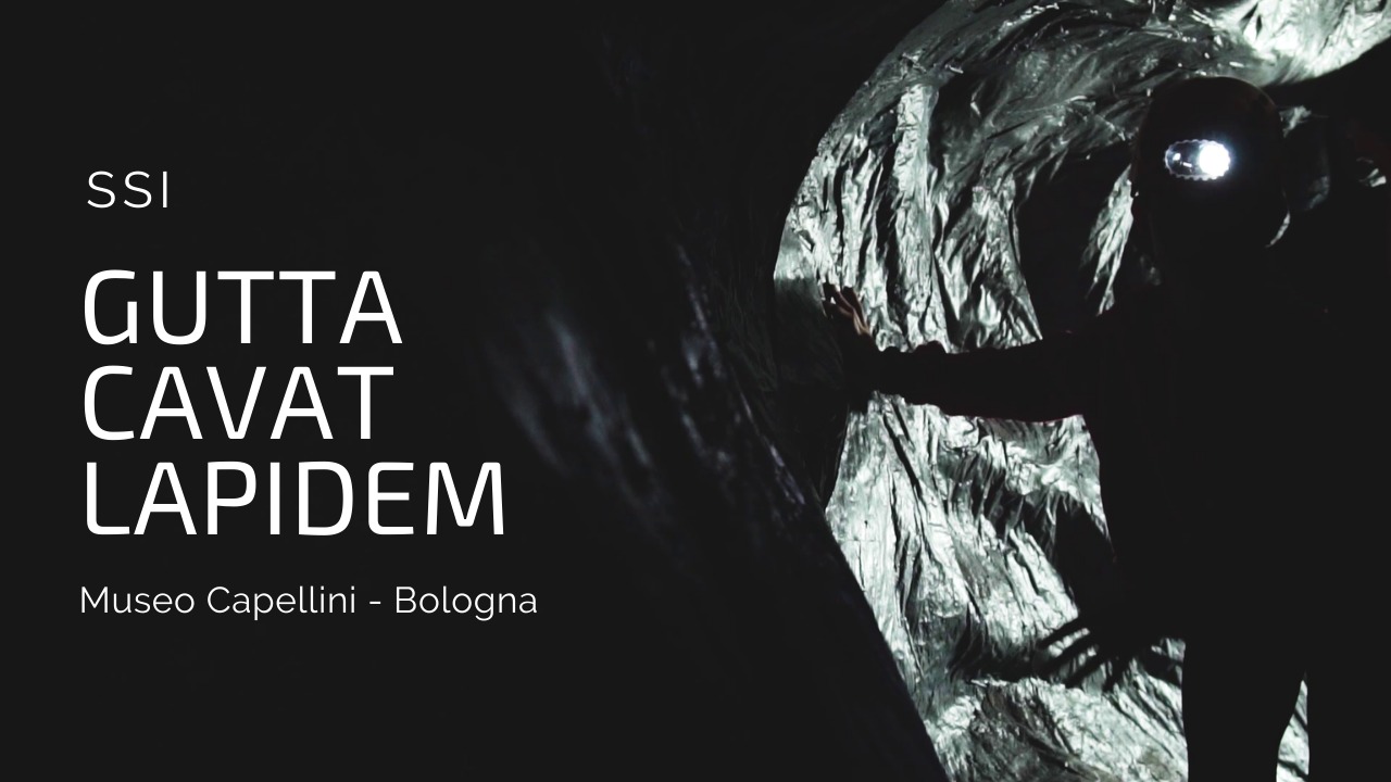 copertina video Gutta Cavat Lapidem
